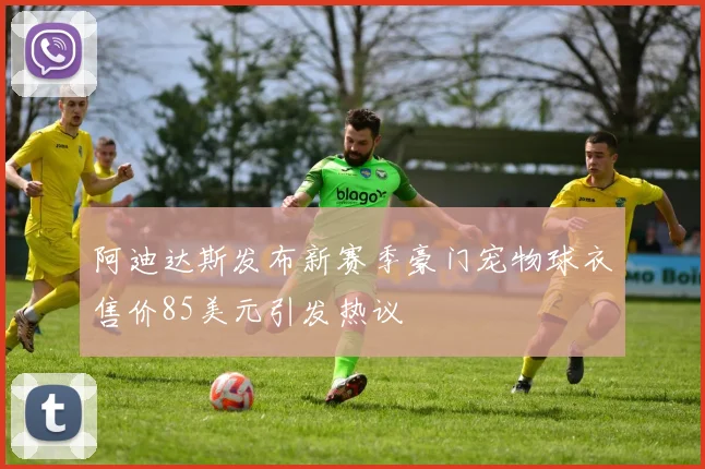 阿迪达斯发布新赛季豪门宠物球衣售价85美元引发热议